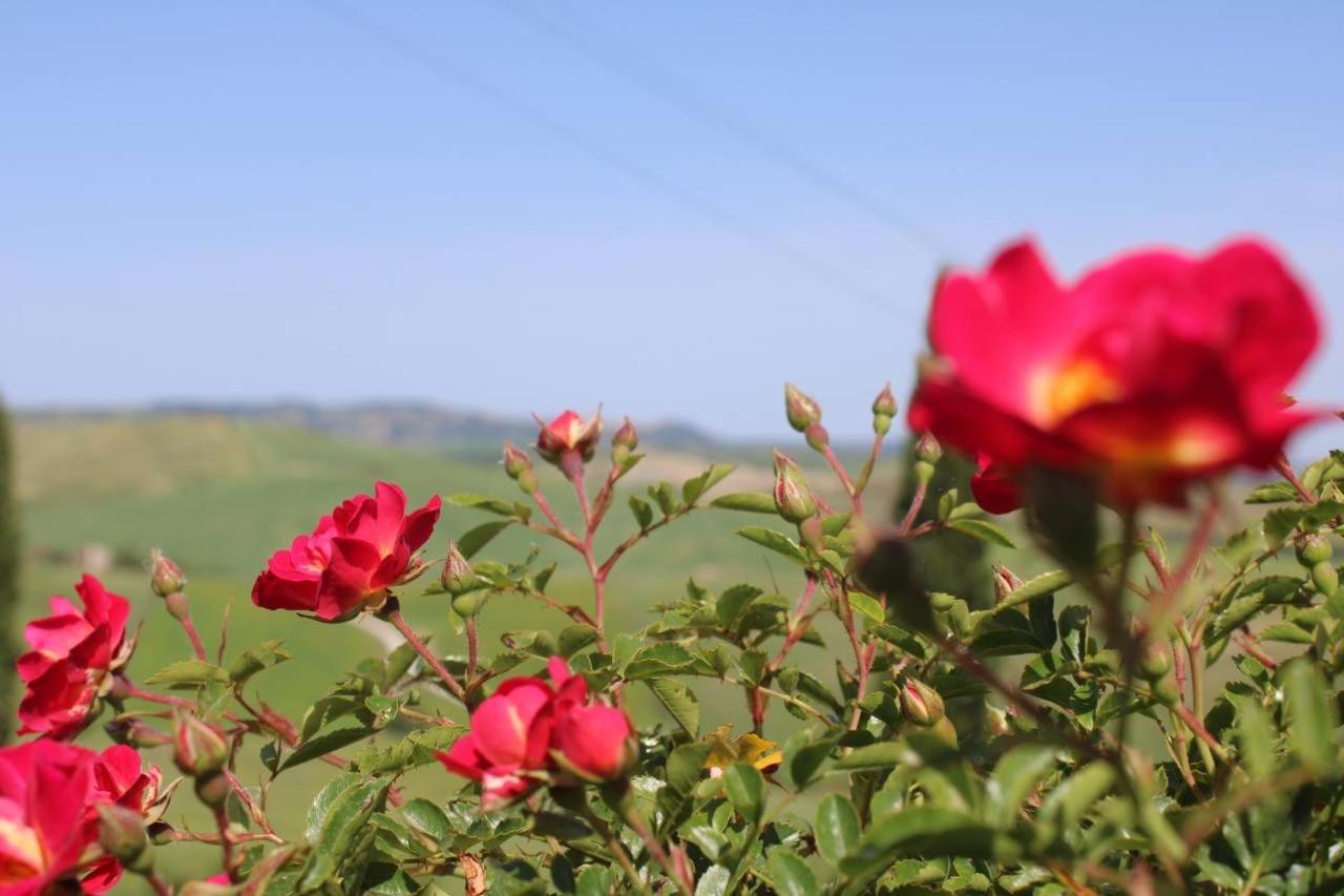 캄필리아 도르시아 Agriturismo La Paciarella 빌라 외부 사진
